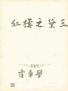 红楼之黛玉之弟