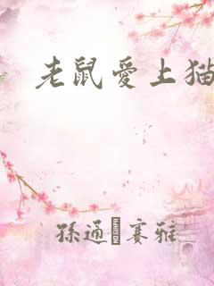 老鼠爱上猫下载