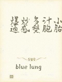 爆炒多汁小美人通感双胞胎