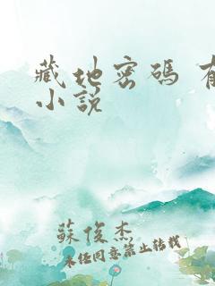 藏地密码 有声小说