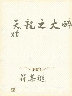 天龙之大醉侠txt