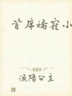 首席娇宠小情人