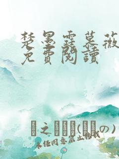 楚墨霆慕薇小说免费阅读