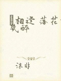 囍相逢 落花能几醉