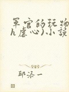 军官的玩物(高h虐心)小说