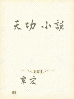 天功 小说