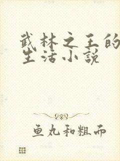 武林之王的退隐生活小说