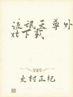 流氓天尊外传txt下载