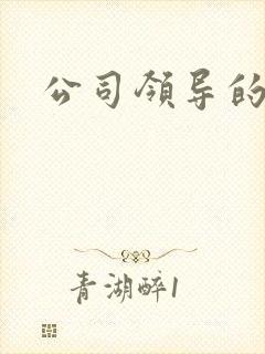 公司领导的老婆