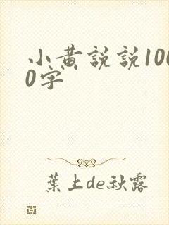 小黄说说1000字