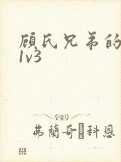 顾氏兄弟的南宁1v3