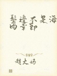 鬓边不是海棠红肉章节