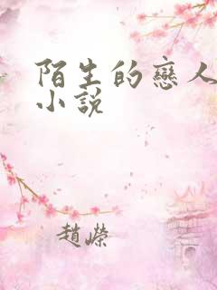 陌生的恋人原著小说