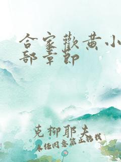 合家欢黄小梅全部章节