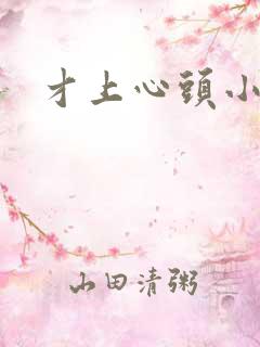 才上心头小说