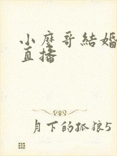 小么哥结婚视频直播