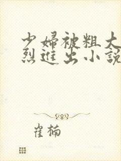 少妇被粗大的猛烈进出小说网