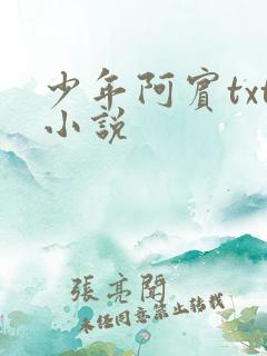 少年阿宾txt小说