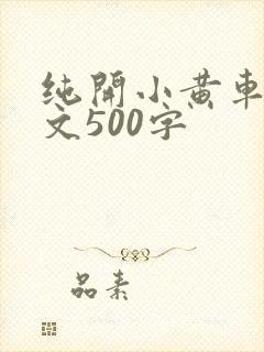 纯开小黄车小短文500字