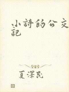 小诗的公交车日记