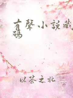 有声小说藏地密码