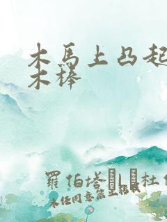 木马上凸起电动木棒