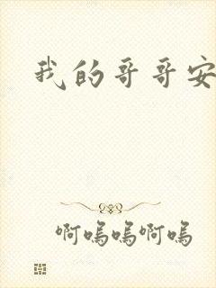 我的哥哥安小天