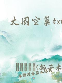 大国空巢txt