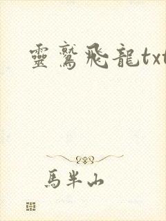 灵鹫飞龙txt