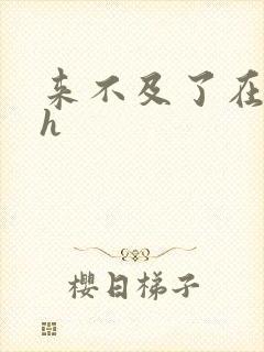 来不及了在车ch