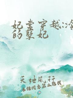 妃常穿越:冷王的孽妃