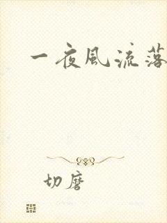 一夜风流落裔