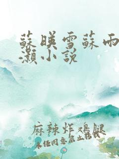 苏映雪苏雨柔苏灏小说