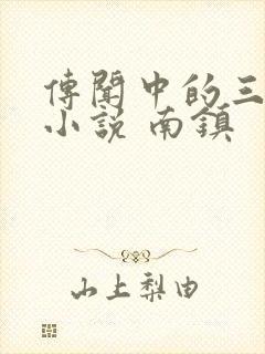 传闻中的三公主小说 南镇