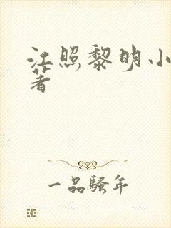 江照黎明小说原著