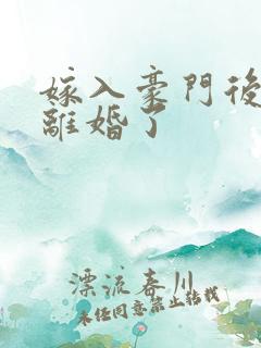 嫁入豪门后我又离婚了