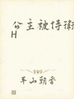 公主被侍卫灌满H