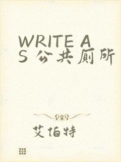 WRITE AS 公共厕所