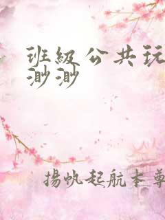 班级公共玩具叶渺渺