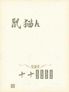鼠猫h