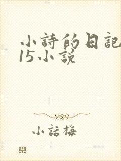 小诗的日记1一15小说