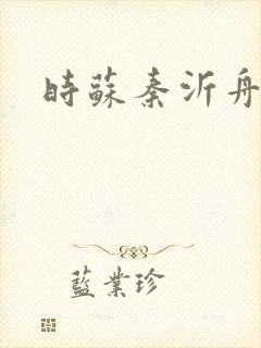 时苏秦沂舟小说