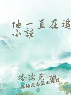 他一直在追初恋小说