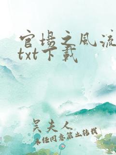 官场之风流人生txt下载