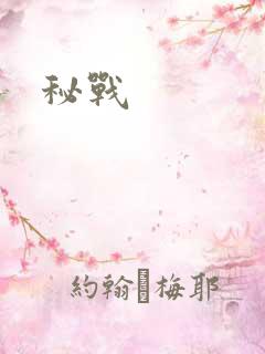 秘战