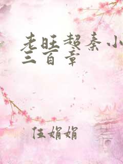 老旺超秦小雨第三百章