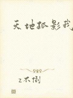 天地孤影我独行