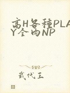 高H各种PLAY全肉NP