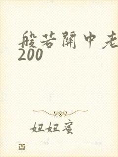 般若关中老人5200