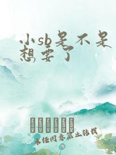小sb是不是又想要了